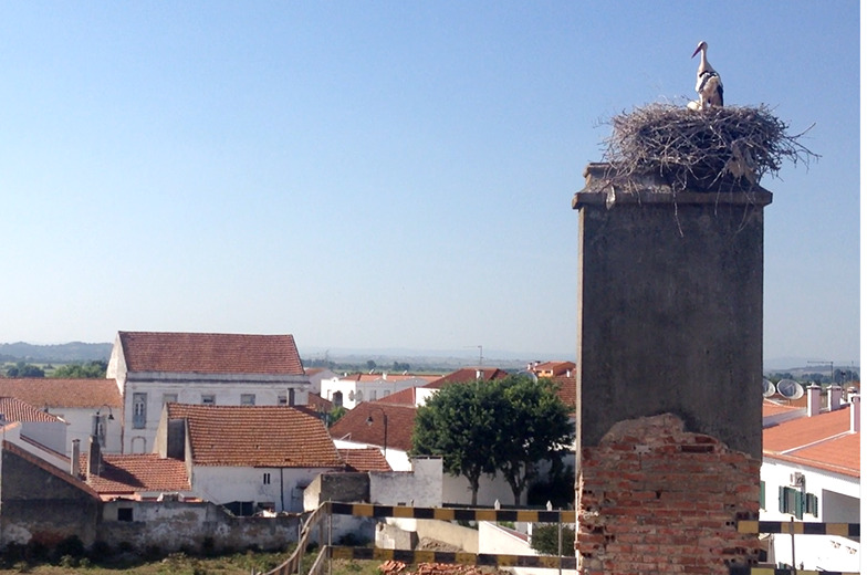 Jardim da Cerca do Hospital, Almeirim, Portugal