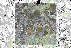 Viale Verdi, Città di Merate, Itália