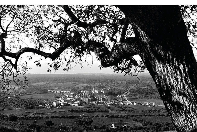 Mosteiro da Batalha — imagem 2 de 14