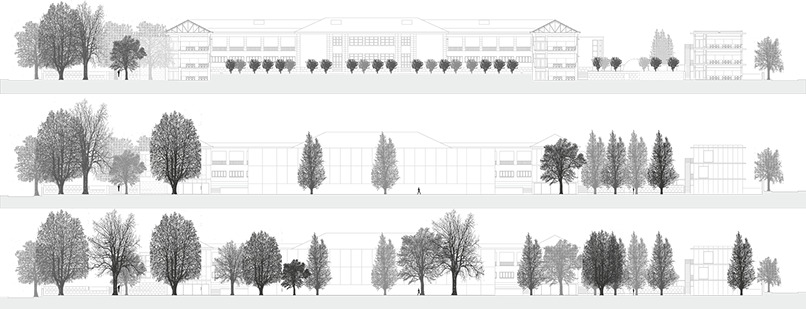 Escola Nuno Álvares — imagem 6 de 6